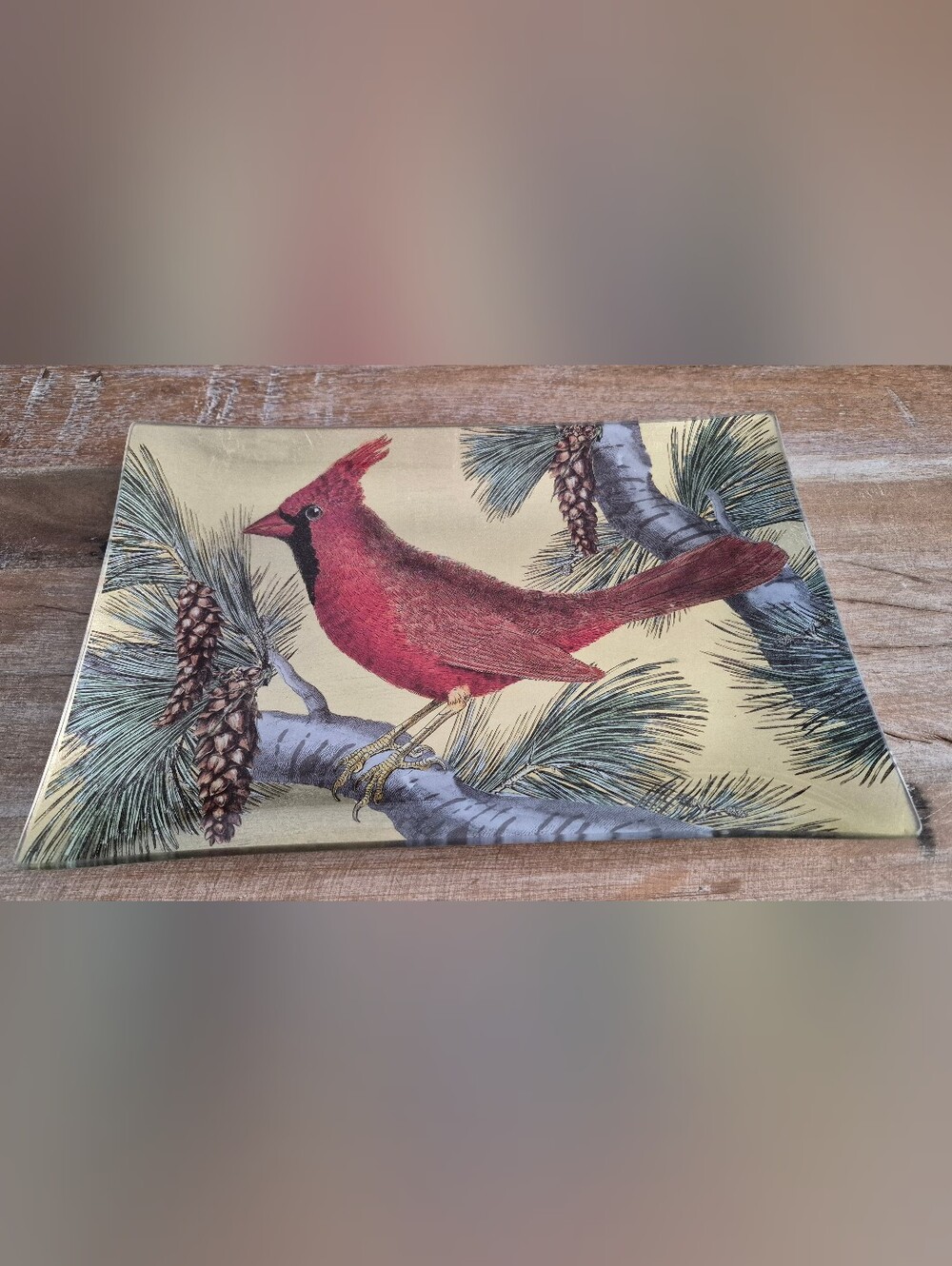 Pottery Barn Red Cardinal Decorative Valet Tray 10x7 Holiday Winter Decor NWOT